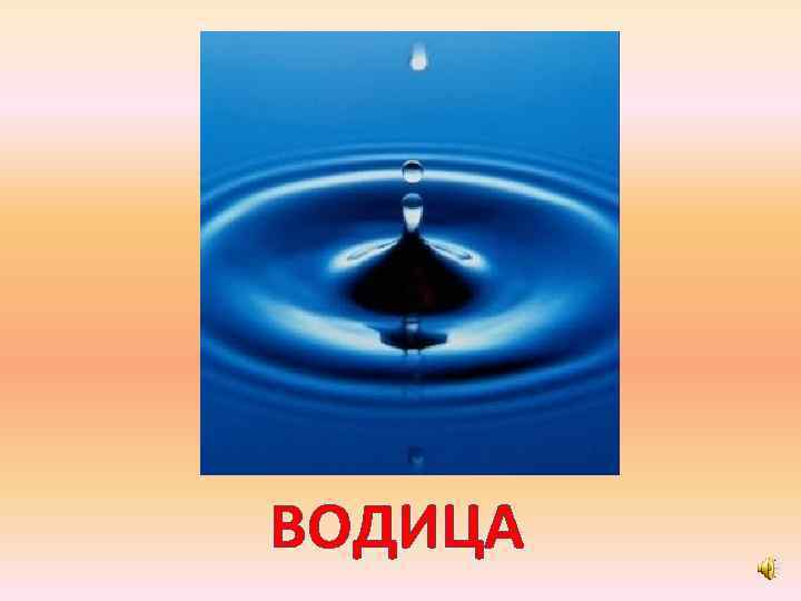 ВОДИЦА 