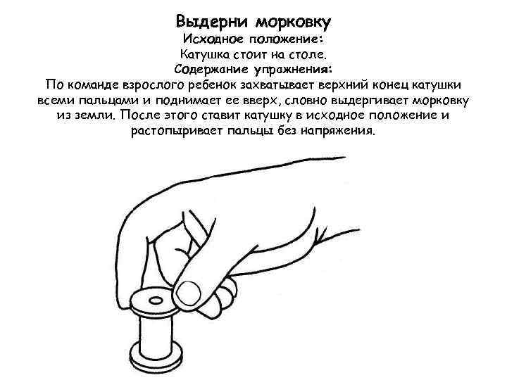 Выдерни морковку Исходное положение: Катушка стоит на столе. Содержание упражнения: По команде взрослого ребенок