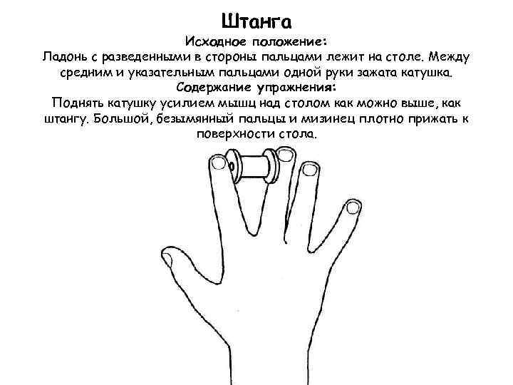 Штанга Исходное положение: Ладонь с разведенными в стороны пальцами лежит на столе. Между средним