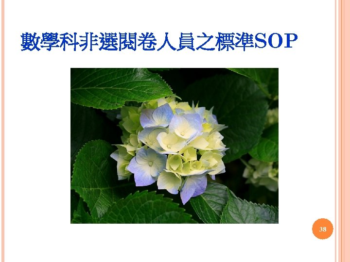 數學科非選閱卷人員之標準SOP 38 