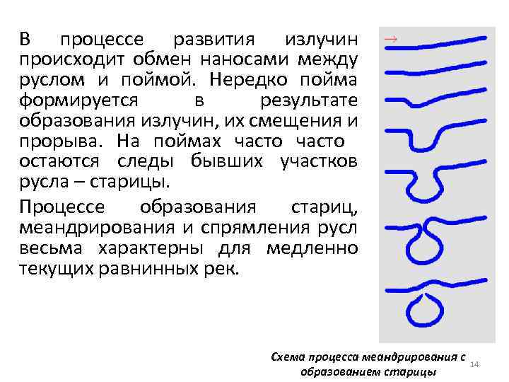 В процессе развития излучин происходит обмен наносами между руслом и поймой. Нередко пойма формируется