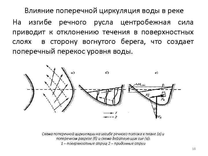 Влияние поперечной циркуляция воды в реке На изгибе речного русла центробежная сила приводит к