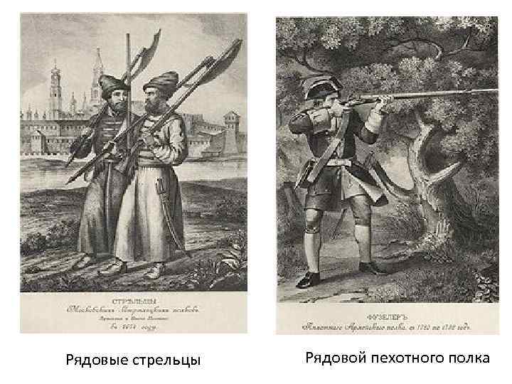 Рядовые стрельцы Рядовой пехотного полка 