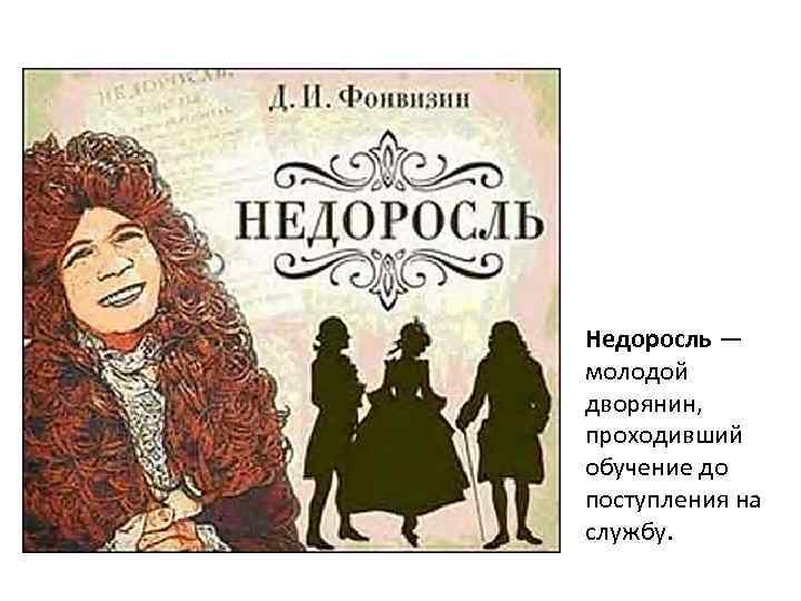 Недоросль — молодой дворянин, проходивший обучение до поступления на службу. 