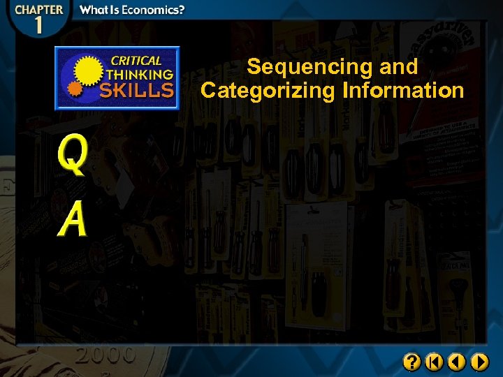 Sequencing and Categorizing Information 