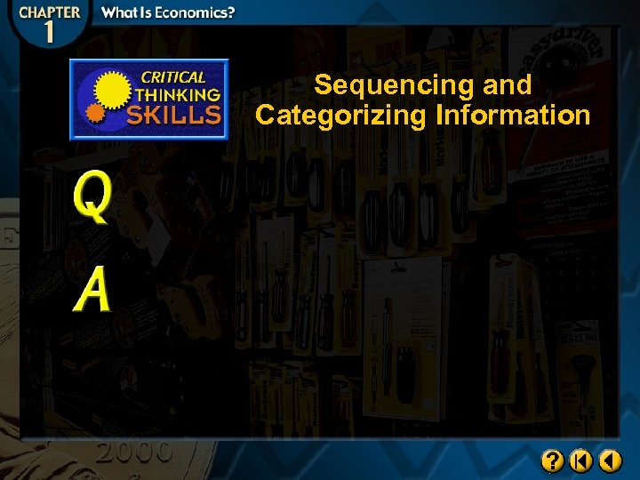 Sequencing and Categorizing Information 