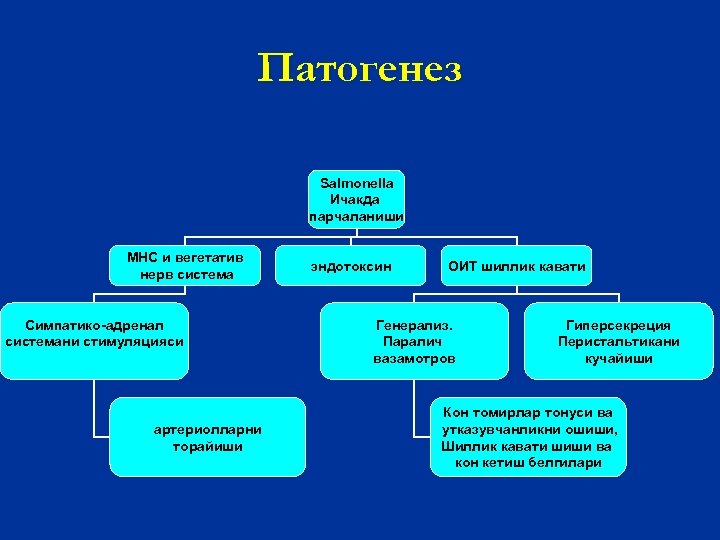 Патогенез Salmonella Ичакда парчаланиши МНС и вегетатив нерв система Симпатико-адренал системани стимуляцияси артериолларни торайиши