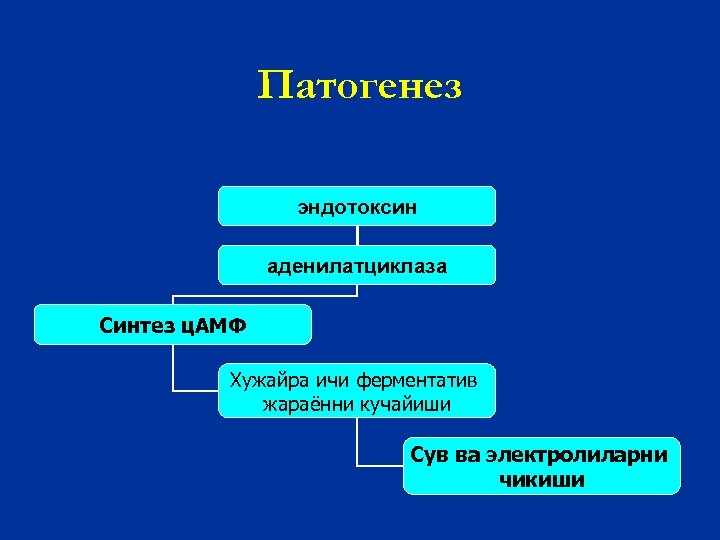 Патогенез эндотоксин аденилатциклаза Синтез ц. АМФ Хужайра ичи ферментатив жараённи кучайиши Сув ва электролиларни