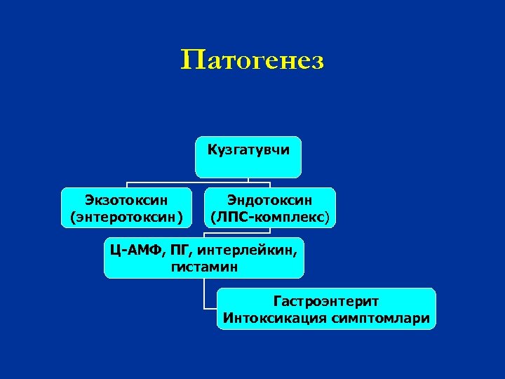 Патогенез Кузгатувчи Экзотоксин (энтеротоксин) Эндотоксин (ЛПС-комплекс) Ц-АМФ, ПГ, интерлейкин, гистамин Гастроэнтерит Интоксикация симптомлари 