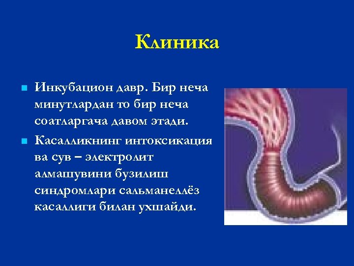 Клиника n n Инкубацион давр. Бир неча минутлардан то бир неча соатларгача давом этади.