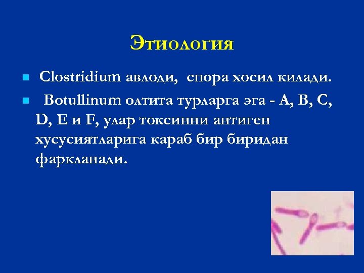 Этиология n n Clostridium авлоди, спора хосил килади. Botullinum олтита турларга эга - А,