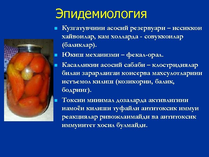 Эпидемиология n n Кузгатувчини асосий резервуари – иссиккон хайвонлар, кам холларда - совукконлар (баликлар).