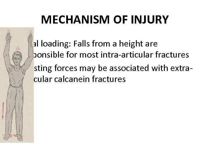 MECHANISM OF INJURY • Axial loading: Falls from a height are responsible for most