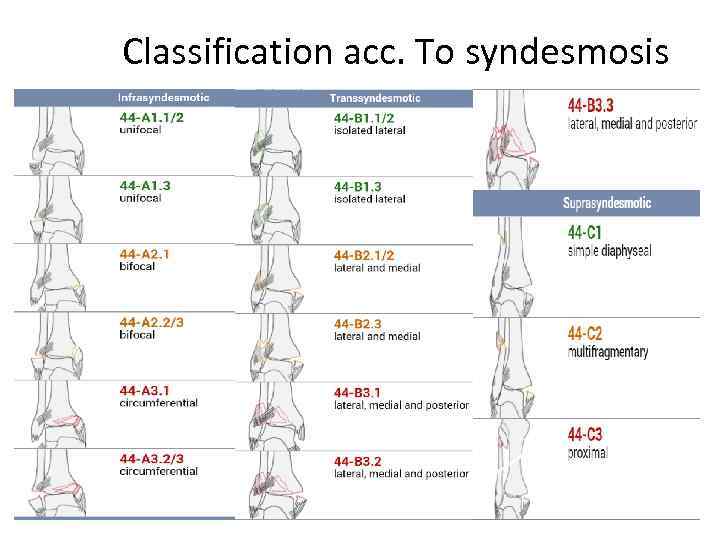 Classification acc. To syndesmosis 