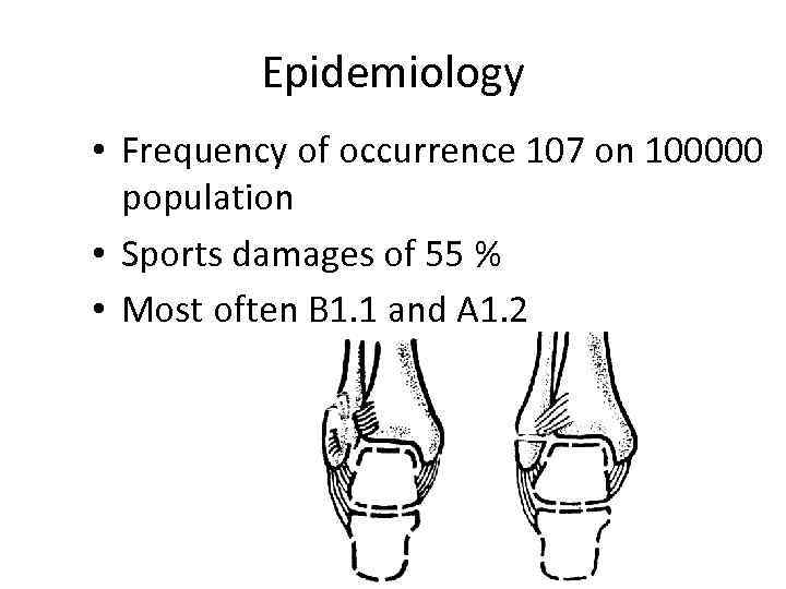 Epidemiology • Frequency of occurrence 107 on 100000 population • Sports damages of 55
