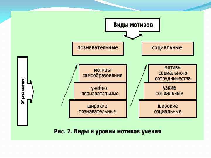 Уровни мотивов. Виды мотивов. Виды учебной мотивации схема. Виды познавательных мотивов. Уровни познавательных мотивов.