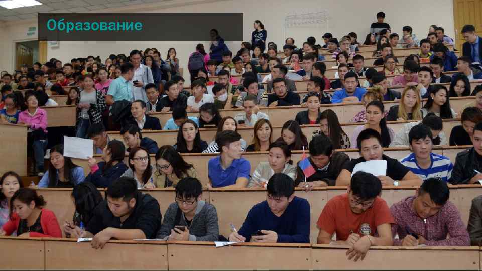 Образование 