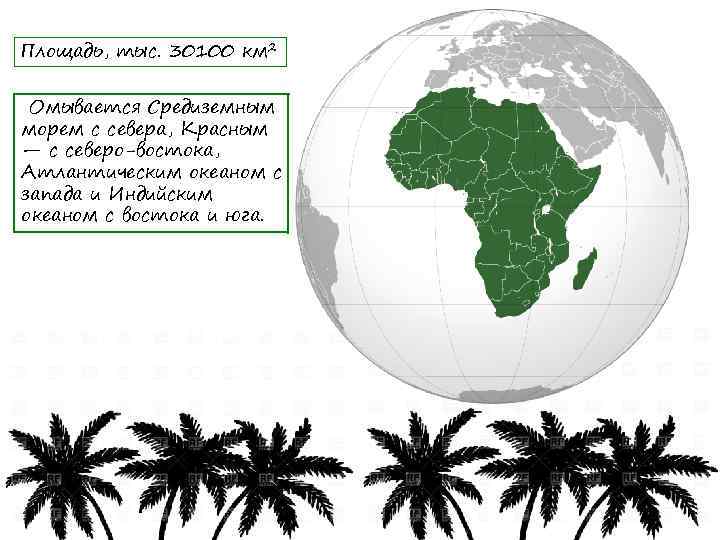 Площадь, тыс. 30100 км 2 Омывается Средиземным морем с севера, Красным — с северо-востока,