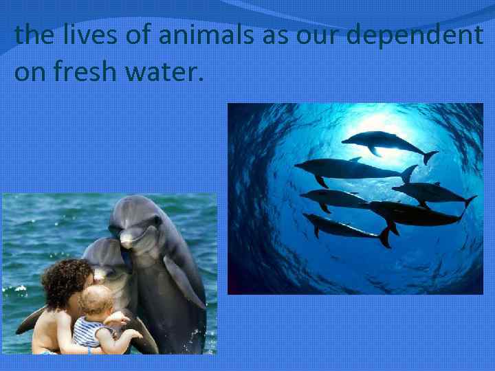 the lives of animals as our dependent on fresh water. 