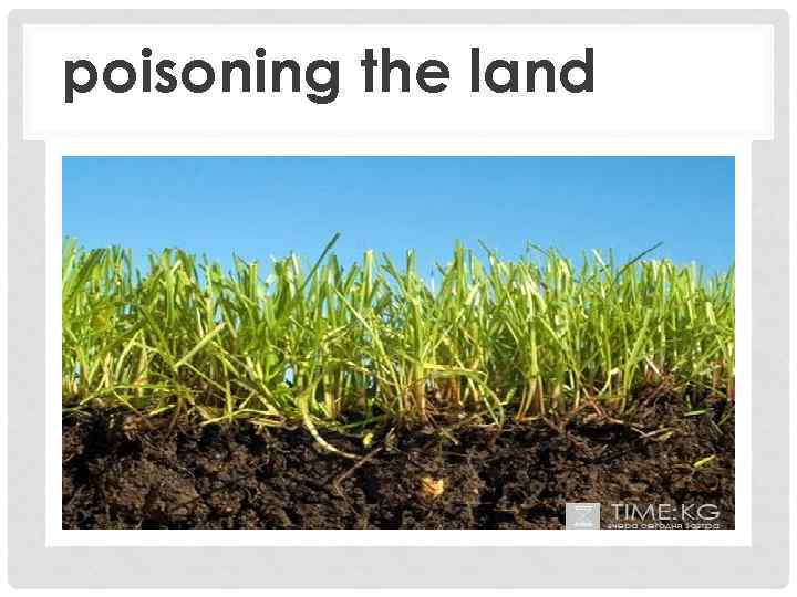 poisoning the land 