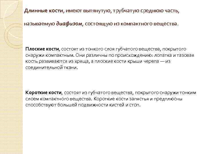 Длинные кости, имеют вытянутую, трубчатую среднюю часть, называемую диафизом, состоящую из компактного вещества. Плоские