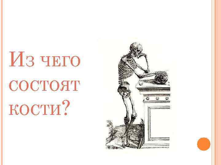 ИЗ ЧЕГО СОСТОЯТ КОСТИ? 