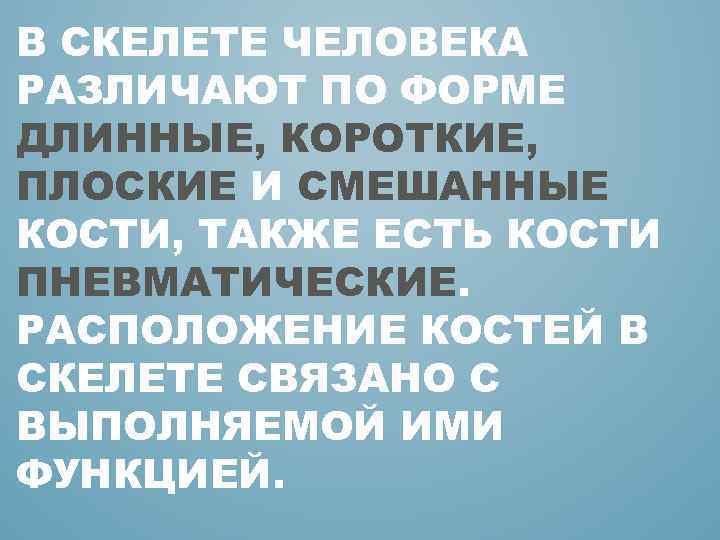 В СКЕЛЕТЕ ЧЕЛОВЕКА РАЗЛИЧАЮТ ПО ФОРМЕ ДЛИННЫЕ, КОРОТКИЕ, ПЛОСКИЕ И СМЕШАННЫЕ КОСТИ, ТАКЖЕ ЕСТЬ