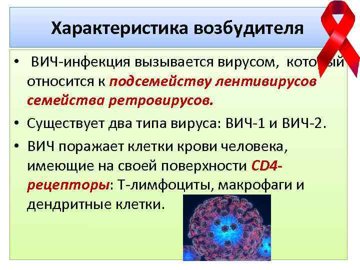 Характеристика возбудителя • ВИЧ-инфекция вызывается вирусом, который относится к подсемейству лентивирусов семейства ретровирусов. •