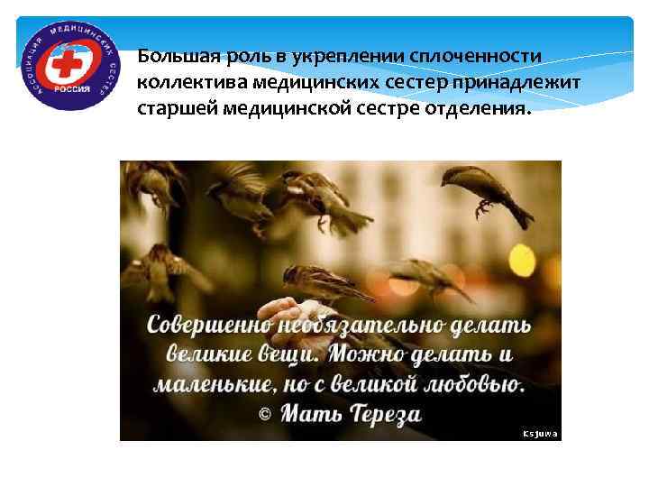 Большая роль в укреплении сплоченности коллектива медицинских сестер принадлежит старшей медицинской сестре отделения. 