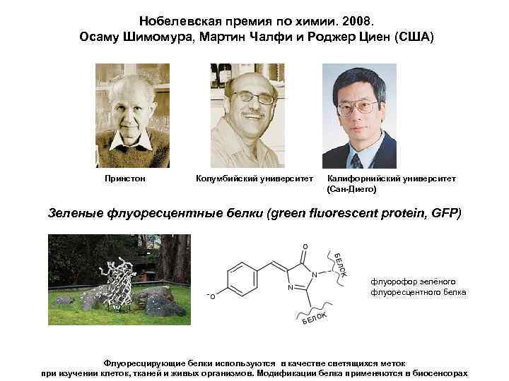 Нобелевская премия по химии. 2008. Осаму Шимомура, Мартин Чалфи и Роджер Циен (США) Принстон