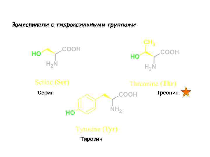 Заместители с гидроксильными группами Серин Треонин Тирозин 