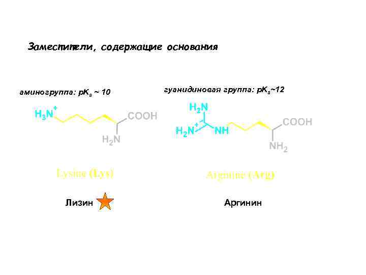 Заместители, содержащие основания аминогруппа: p. Ka ~ 10 Лизин гуанидиновая группа: p. Ka~12 Аргинин