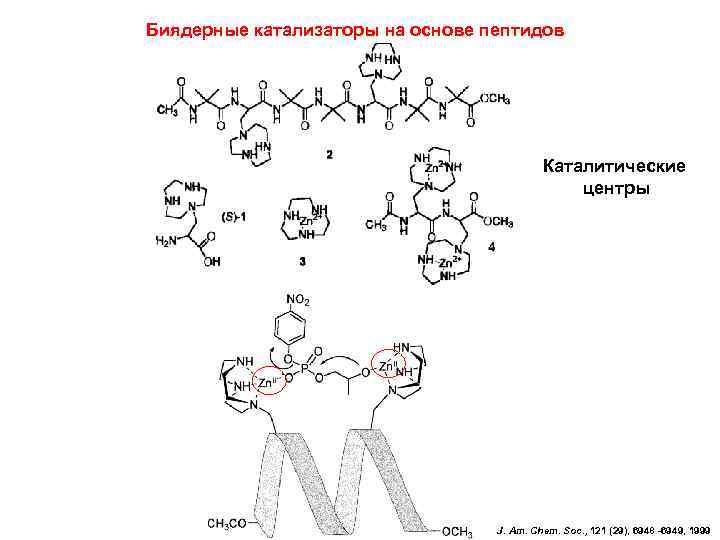 Биядерные катализаторы на основе пептидов Каталитические центры J. Am. Chem. Soc. , 121 (29),