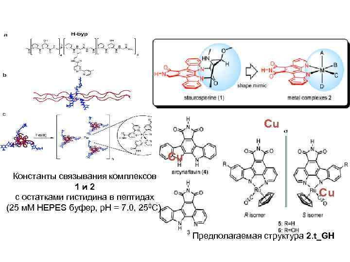 Cu Cu Константы связывания комплексов 1 и 2 с остатками гистидина в пептидах (25