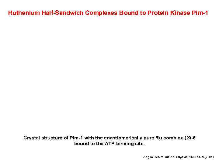 Ruthenium Half-Sandwich Complexes Bound to Protein Kinase Pim-1 Crystal structure of Pim-1 with the