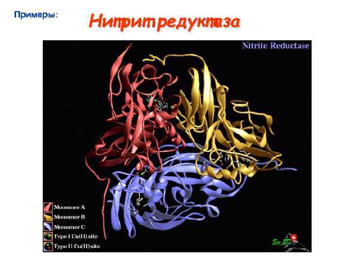 Примеры: Нитрит редуктаза 