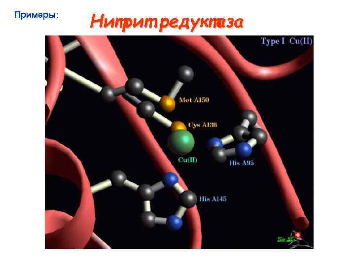 Примеры: Нитрит редуктаза 