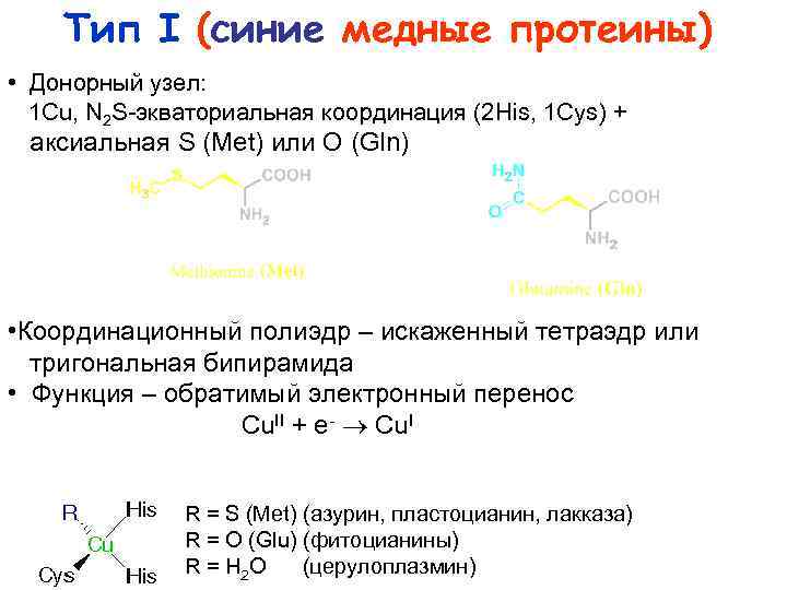 Тип I (синие медные протеины) • Донорный узел: 1 Cu, N 2 S экваториальная