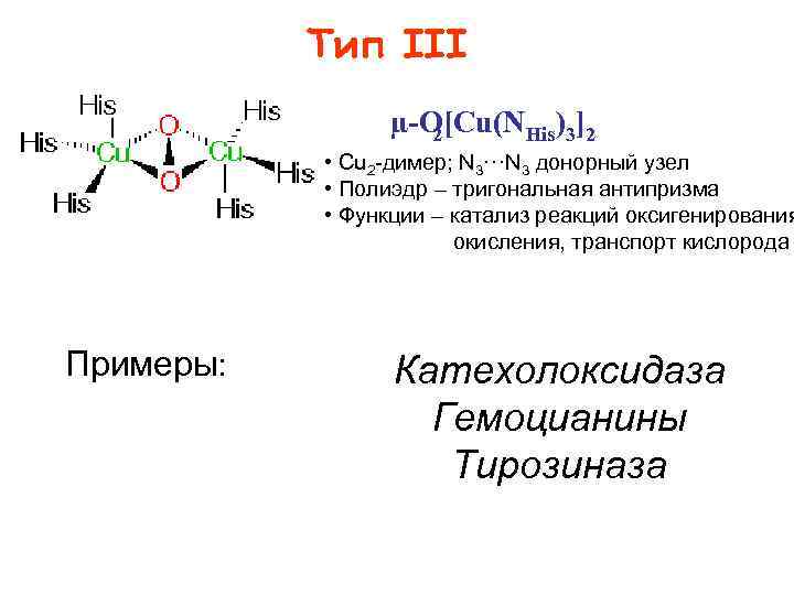 Тип III µ O[Cu(NHis)3]2 2 • Cu 2 димер; N 3···N 3 донорный узел