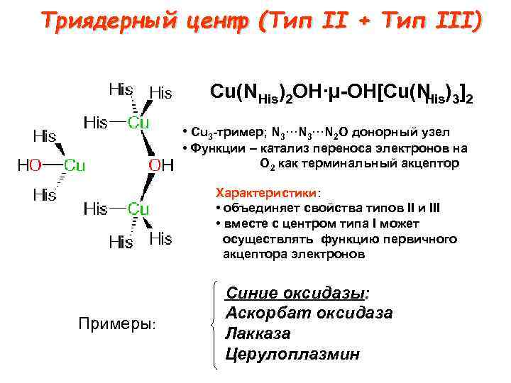 Триядерный центр (Тип II + Тип III) Cu(NHis)2 OH·µ OH[Cu(N )3]2 His • Cu