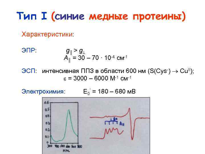 Тип I (синие медные протеины) Характеристики: ЭПР: g║ > g A║ = 30 –