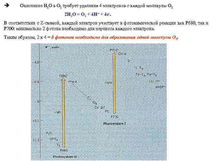 Окисление H 2 O в O 2 требует удаления 4 электронов с каждой