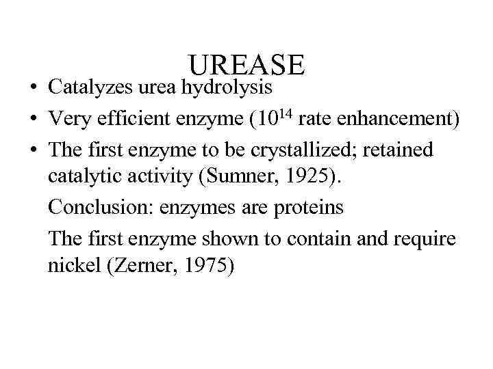 UREASE • Catalyzes urea hydrolysis • Very efficient enzyme (1014 rate enhancement) • The