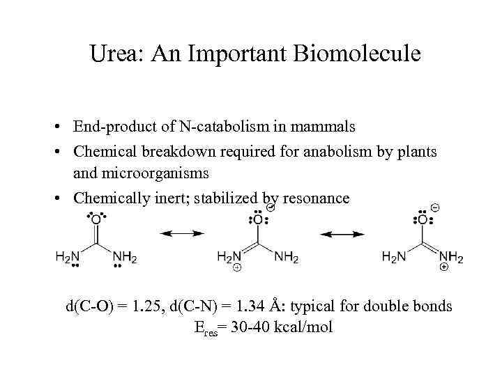 Urea: An Important Biomolecule • End-product of N-catabolism in mammals • Chemical breakdown required