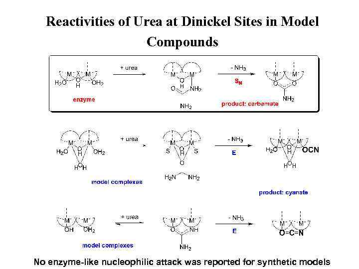 Reactivities of Urea at Dinickel Sites in Model Compounds No enzyme-like nucleophilic attack was