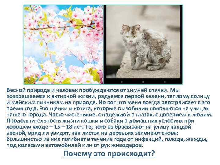 Весной природа и человек пробуждаются от зимней спячки. Мы возвращаемся к активной жизни, радуемся