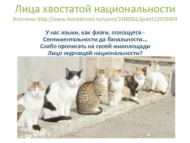 Лица хвостатой национальности Источник http: //www. liveinternet. ru/users/3100562/post 112933459 У нас языки, как флаги,