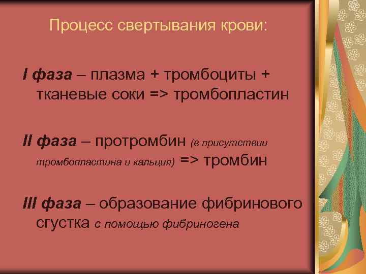 Процесс свертывания крови: I фаза – плазма + тромбоциты + тканевые соки => тромбопластин