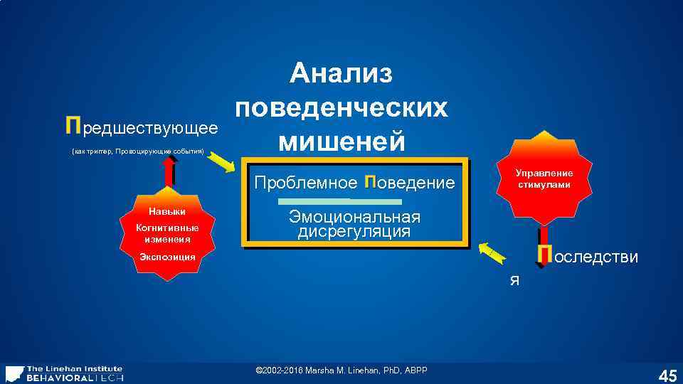 Терапия поведения. Диалектическая поведенческая терапия. Диалектическая поведенческая психотерапия. Мишени когнитивно-поведенческой терапии. Когнитивно поведенческая терапия марша Линехан.