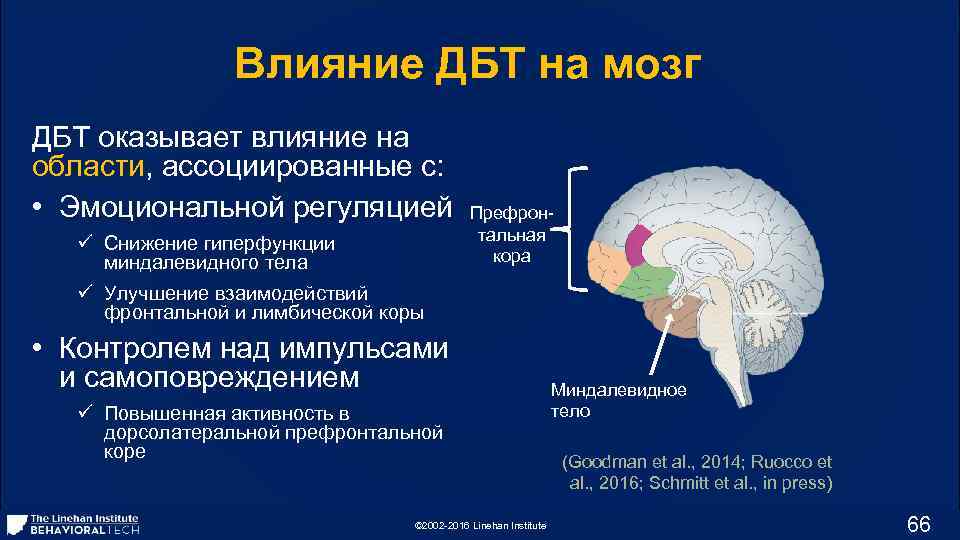 Влияние ДБТ на мозг ДБТ оказывает влияние на области, ассоциированные с: • Эмоциональной регуляцией